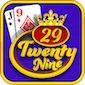 29 Card Game